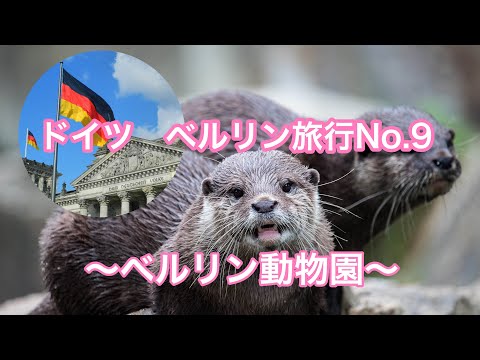 動物園の 2 つの入り口のうちの 1 つである象の門