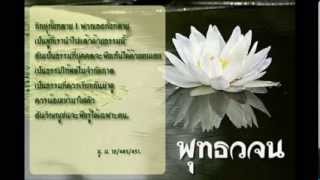 เพลงธรรมะ วิปัสสนาพาพ้นทุกข์