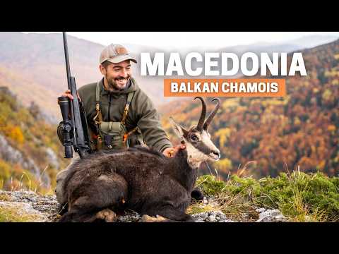 Hunting World Class Chamois in Macedonia Mountains