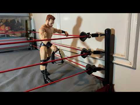 FCW- John Cena vs Sheamus! Champion vs Champion Match