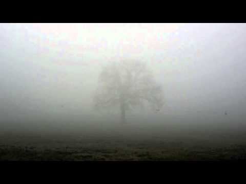 Jichael Mackson - Used