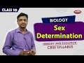 Sex Determination Heredity And Evolution 10th CBSE Syllabus Explanation