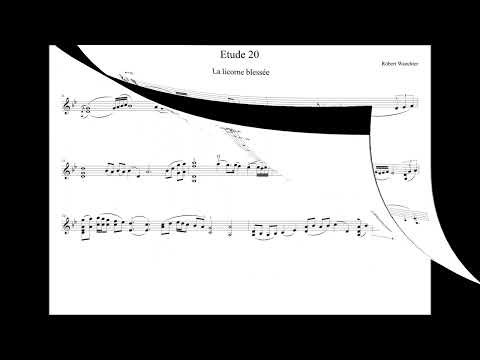 Robert Waechter ETUDE - CAPRICE 20  for solo violin