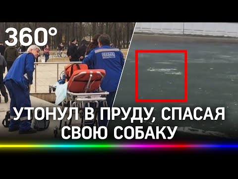 Спасая друга: мужчина утонул на пруду, бросившись за собакой - видео