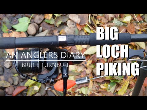An Anglers Diary with A Moment in Time Channel - Chapter 90 - Pike Fishing