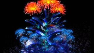 Between the Buried and Me Acoustic Cover of Foam Born (A): The Backtrack