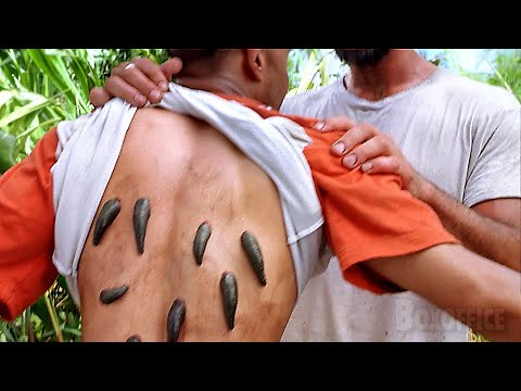 Cobras gigantes, sanguessugas e aranhas: melhores cenas de Anaconda 2