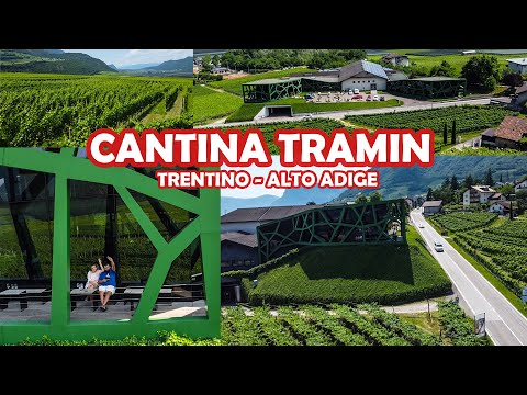 Cantina Tramin | TRENTINO-ALTO ADIGE  #trentinoaltoadige #bolzano #wine