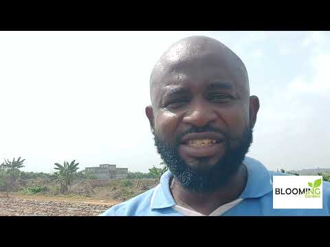 Agricultural Lime : Land Preparation for good yields