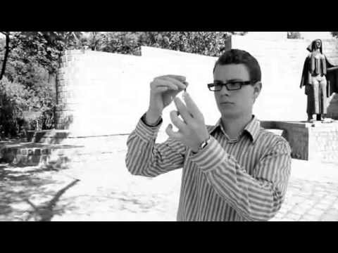 Linxus by John Stessel - The Magic Attic