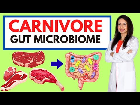 Carnivore Diet: What It REALLY Does to Your Gut (Stool Test Data Revealed)