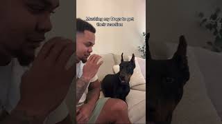 Clearly I’m scared of my second child 🥲🤣 #reels#shorts #dog #funny #suavexavier