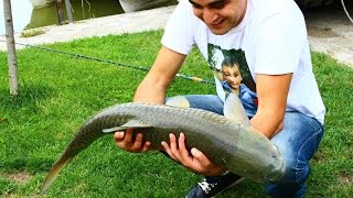preview picture of video 'Lopota Resort: The Best Place For Fishing Cupid 10.3kg.'