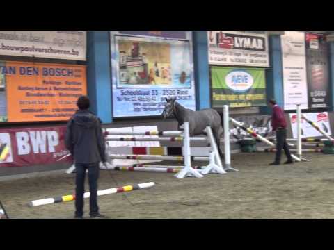 Lialena V. Cornet Obolensky x Calvaro