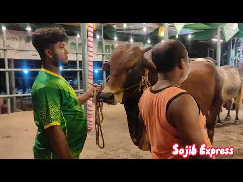 Live Sold 23/6/22 Sadeeq Agro