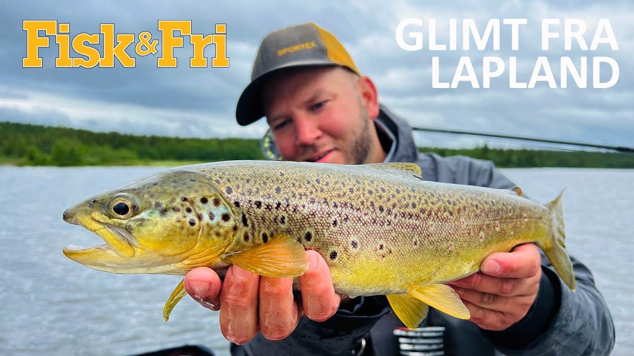 NY VIDEO: GLIMT FRA LAPLAND
