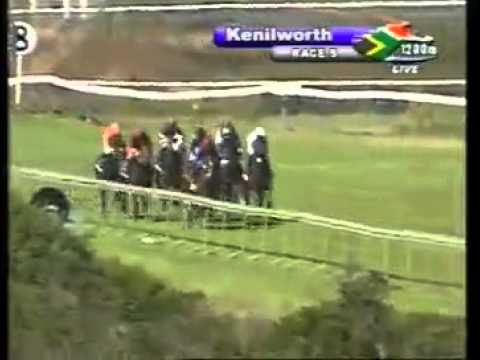 Terminator 2nd win at Kenilworth - Racing Association