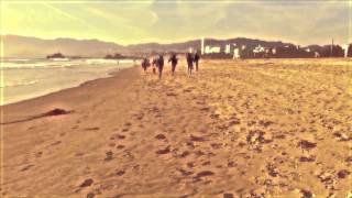 POLOCK RISING SUN / 昇る太陽