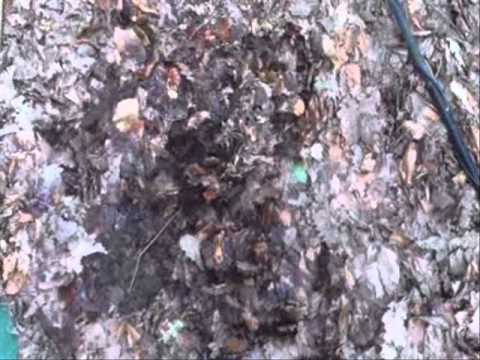 Moje Wykopki (Odc. 98) Wzgórza Gumińskie i okolice