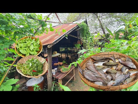 Simple Village Life on a Rainy Morning, harvesting, Cooking Traditional Recipes