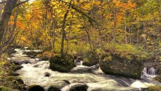 preview picture of video '奥入瀬渓流の紅葉 Autumn Colors at Oirase Stream ( Shot on RED ONE )'