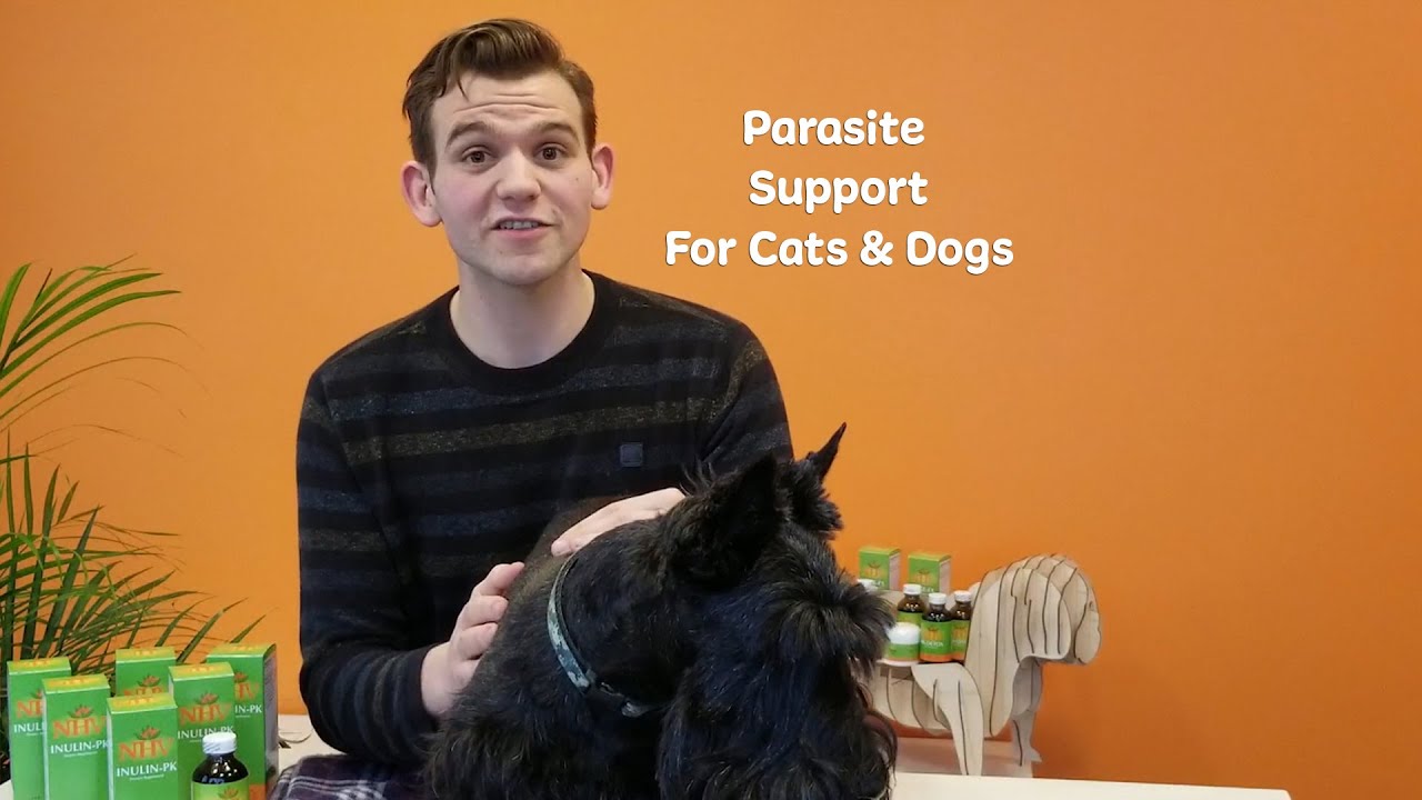 NHV Inulin-PK: Parasite Support for Cats & Dogs
