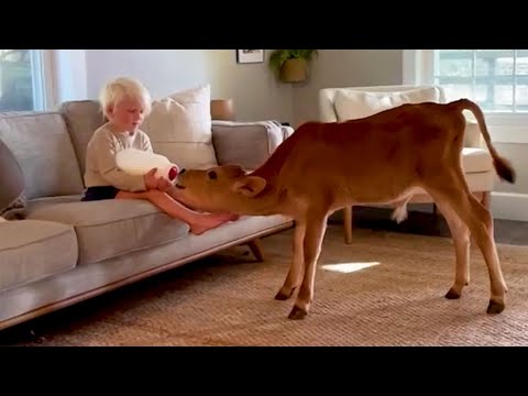 #15 Die besten Videos 2025 || ✪ Stern DuTube