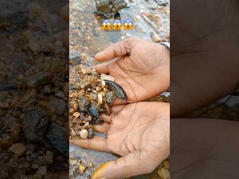 Fishing video !! Kam Pani me mili snake fish 😱#shorts #viral #animls