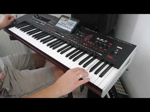 HARI KORG PA4X set MOSS BADJI