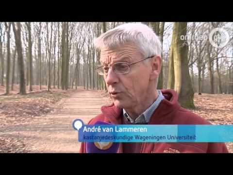 GLD Vandaag 11 maart 2016