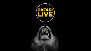 safariLIVE - Sunrise Safari - April 17, 2018