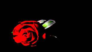 Radford - Out Of The Dark.wmv