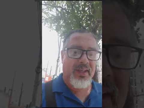 As vantagens e benefícios de se ter uma árvore