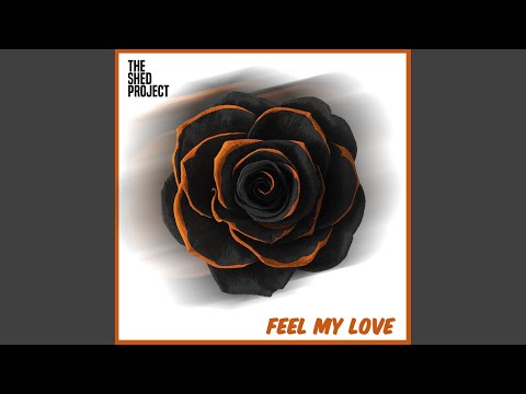 Feel My Love