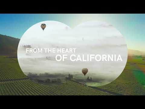 Chandon 50th Anniversary Celebration