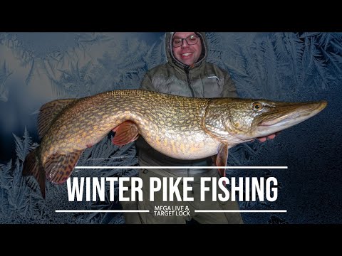Winter Fishing for Pike - using the new TargetLock & MegaLive on a TILLER