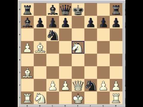 Evans Gambit declined-Brilliant Queen sacrifice