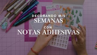 Decoro mi agenda de OCTUBRE 🍁 (sí, tarde 😅) | Agenda Moterm personal + estilo otoñal minimalista