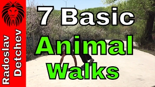 Download lagu 7 Basic Animal Walks & Crawls mp3