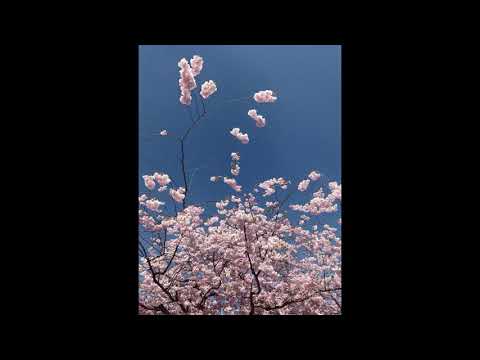 [free] skele x lil lotus type beat "im getting worse" | prod. afterlife + pekarot