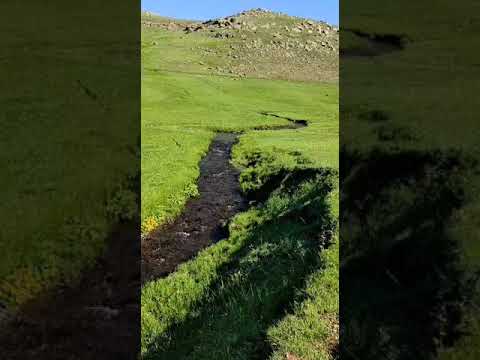 KUR'AN-I KERİM: Nur Süresi,               23/24/25/26. Ayetler) Meal..