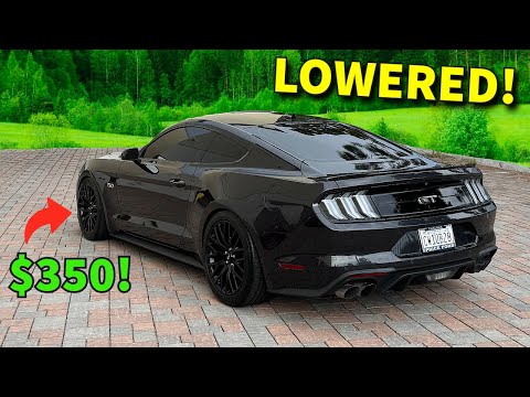 LOWERED My Mustang GT S550 for only $350!