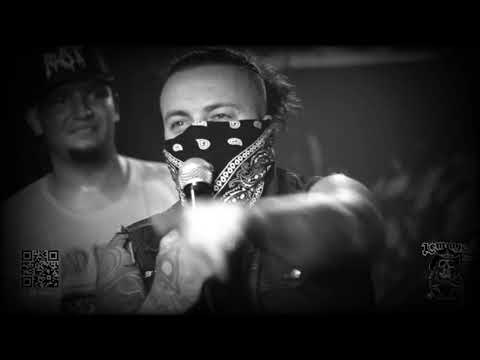 MATA BORRÃO - Live Lemmys 2020 [brazilian grindcore]