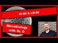 ID-50 and LD-50:  Microbiology
