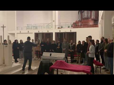 VIS Veritas aeterna - "Dođi, Gospodine, da nas spasiš!" (Ps 146)