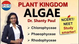 Algae- Plant kingdom