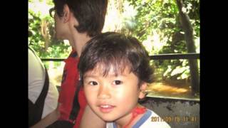 "I Will" 　Jason Falkner