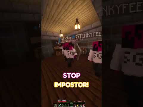 EPIC Minecraft SMP: SG vs SG Imposter 😱