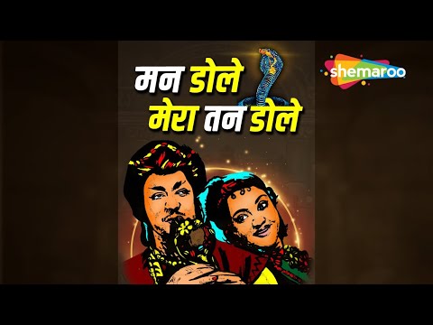 Zara Hatke — watch video