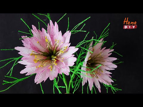 How to make crepe paper Nigella - HanaDIY